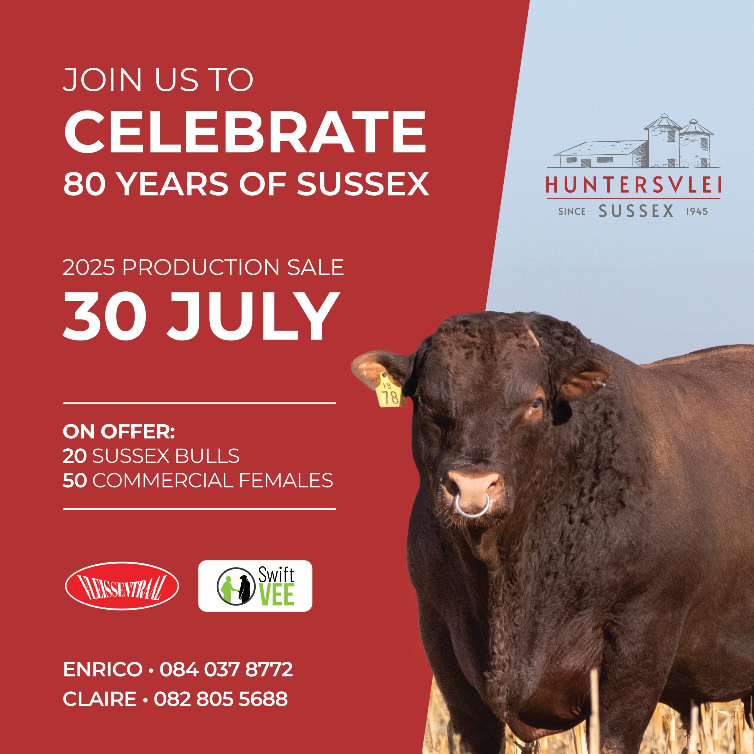 Huntersvlei Production Sale 30 JULY 2025